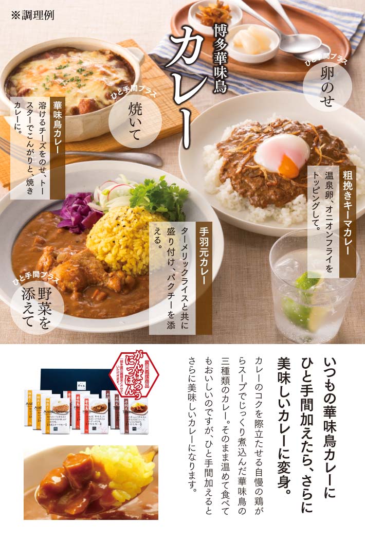 博多華味鳥 カレーセット 9食入 限定販売 冬キャンペーン 商品一覧 博多華味鳥オンラインショップ