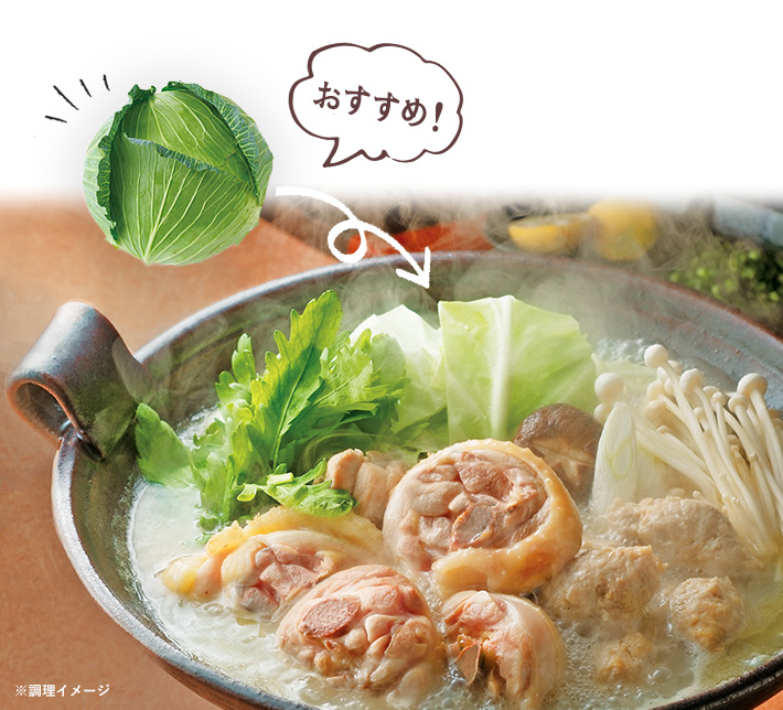 博多の水炊きは、スープが水っぽくならないよう白菜ではなく「キャベツ」を使います。