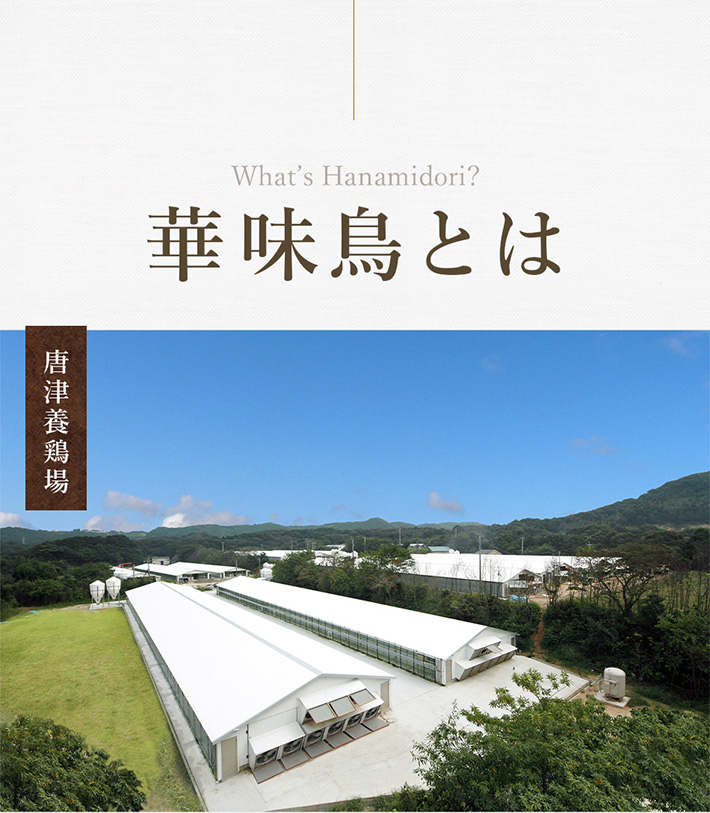 博多華味鳥とは?