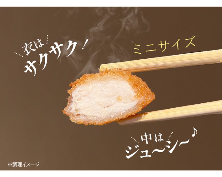 �T�N�T�N�W���[�V�[Revo�`�L���J�c���c