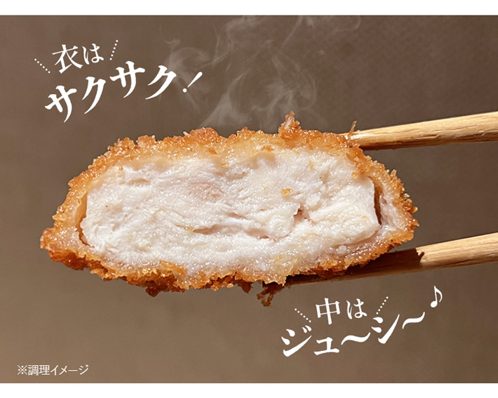 �T�N�T�N�W���[�V�[Revo�`�L���J�c���c