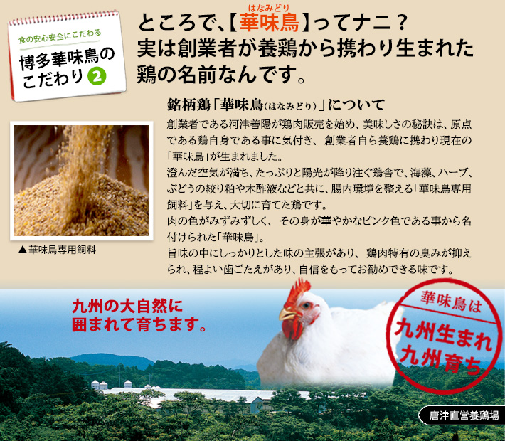 銘柄鶏の華味鳥（はなみどり）は九州生まれ九州育ち