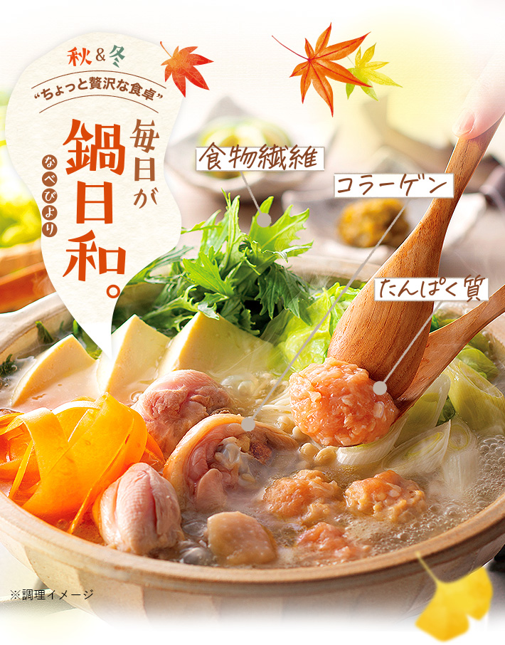 博多華味鳥 水炊き3-4人前セット 当店人気No.1鍋 滋養鍋