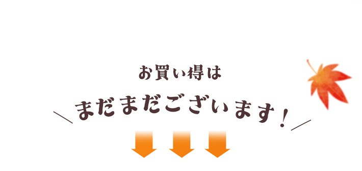 お買い得はまだまだございます！