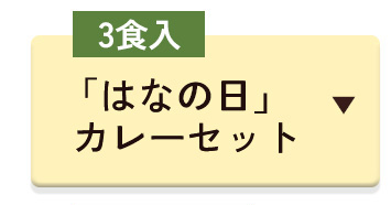 はなの日カレーセット