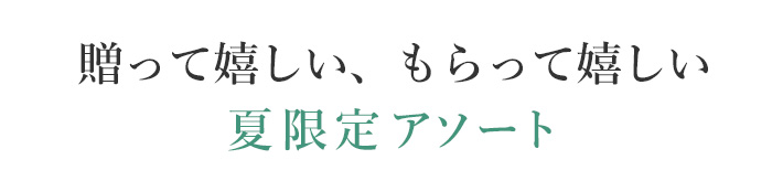 夏の元気盛 説明