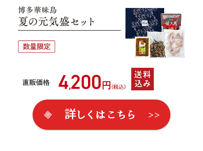 夏の元気盛 詳細はこちら