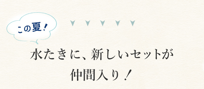 水炊きに新しいシリーズ登場