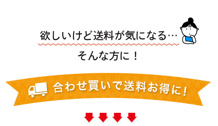 送料が気になる