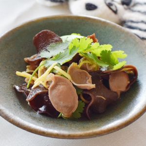 ���̂̑�p���a����