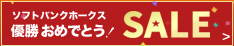 �z�[�N�X�Z�[���t���[�e�B���O�o�i�[