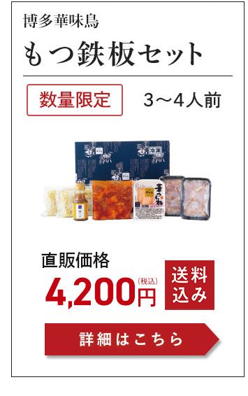 もつ鉄板セット3～4人前
