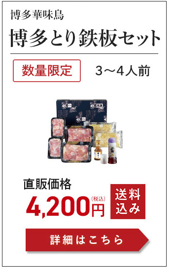 とり鉄板セット3～4人前