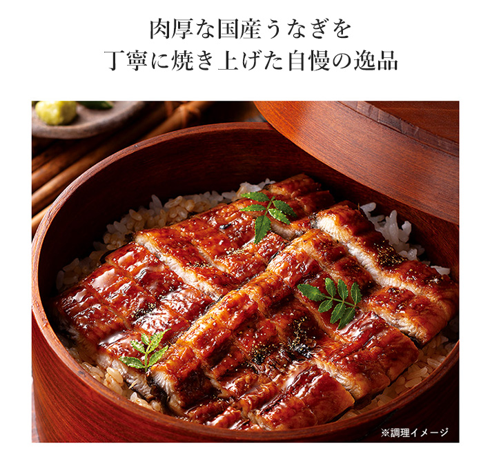 九州産うなぎ蒲焼イメージ