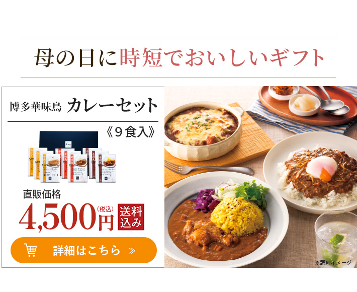 博多華味鳥 カレーセット